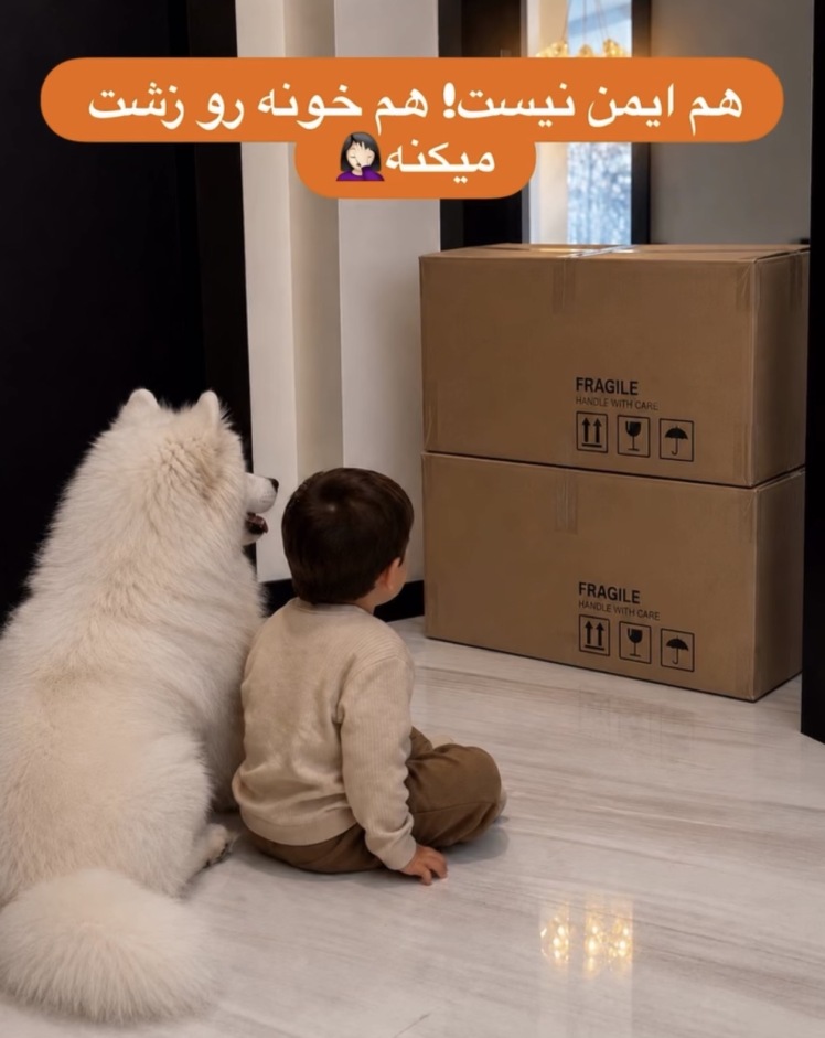 قیمت راهبند( محافظ ) کودک به چه عواملی بستگی دارد؟ 
