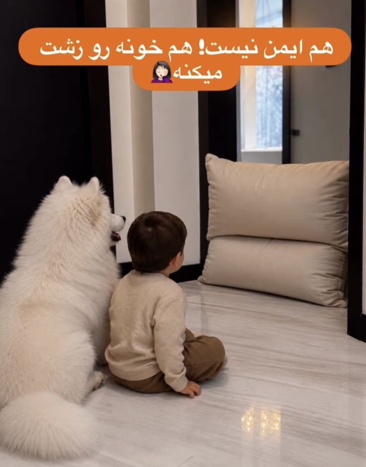 گیت محافظ کودک ؛ وقتی ایمنی با دکوراسیون خانه هماهنگ میشود.