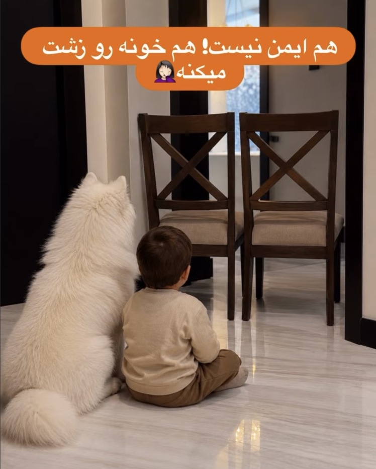 چرا گیت محافظ کودک بهتر از بستن مسیر با صندلی و کارتن است؟ از ایجاد ایمنی برای بچه ها تا دیزان خانه